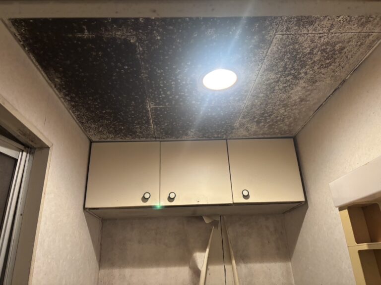 壁紙や天井にカビの黒斑点が広がっている様子