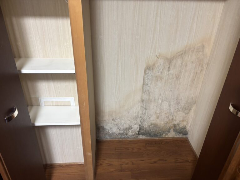 クローゼット内の壁や床にカビと水濡れ跡が広がっている様子