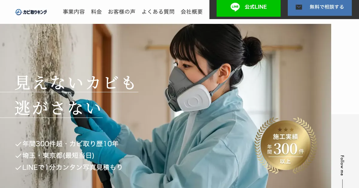 カビ取りキングの公式サイト