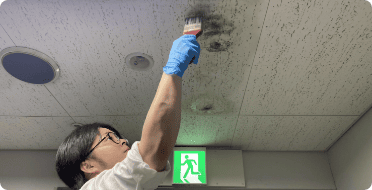 根こそ落とすカビ取り技術
