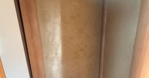 カビのケース写真
