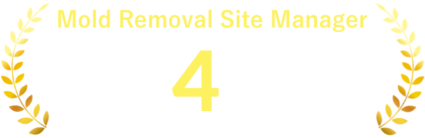 Mold Removal Site Manager min 4 years