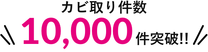 カビ取り件数 10,000件突破