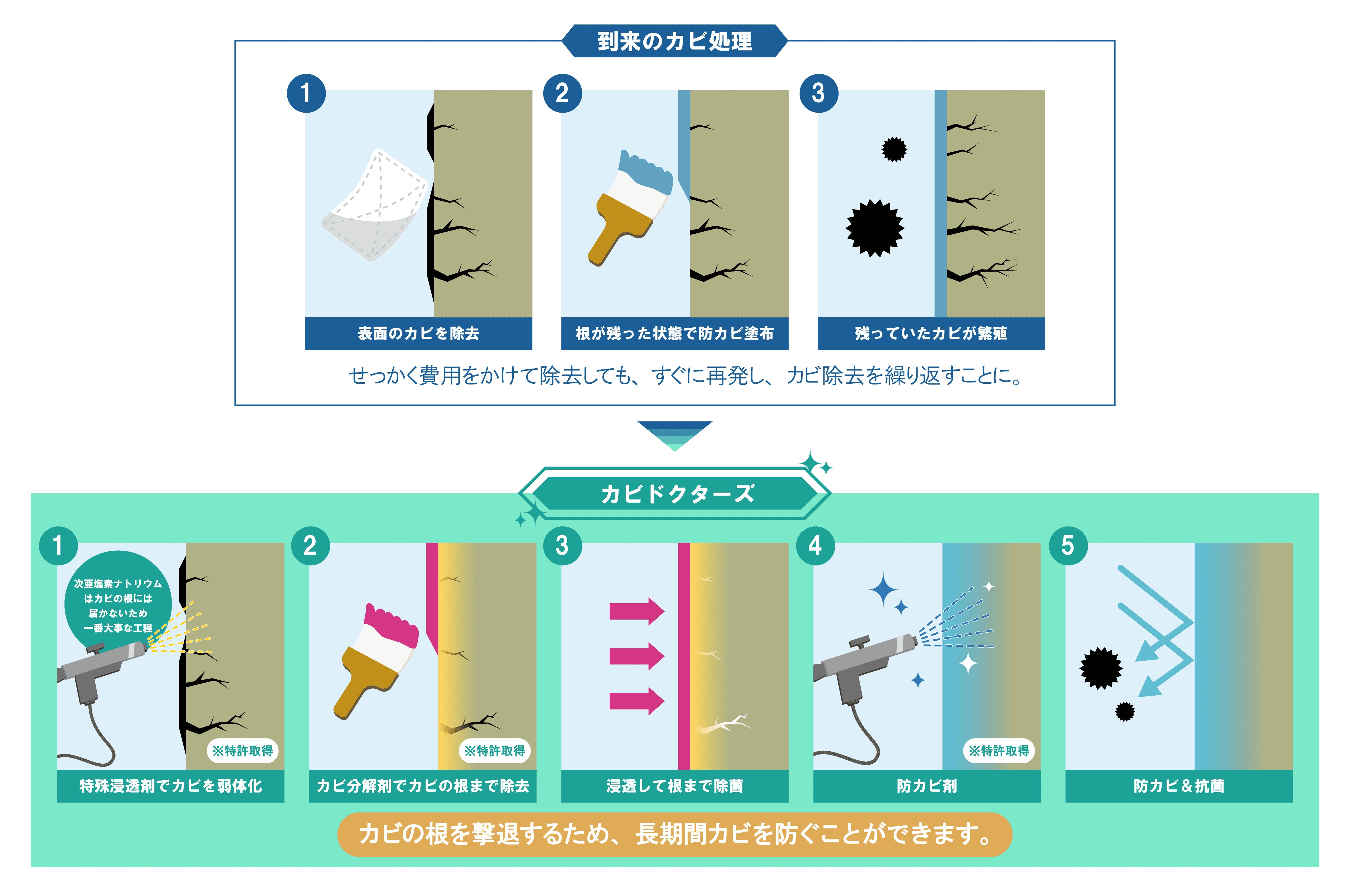 カビドクターズのカビ取り工程