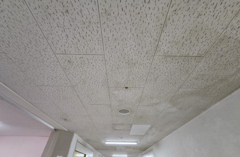 病室まで広がる危険性も。病院廊下のカビを早期対応で解決｜施工前