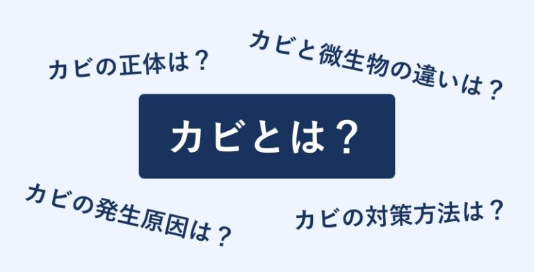 【図解】カビとは？基礎知識から発生原因・対策方法まとめ