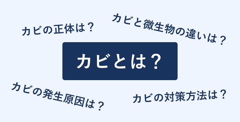 カビとは？カビの正体は？微生物との違いは？発生原因は？対策方法は？