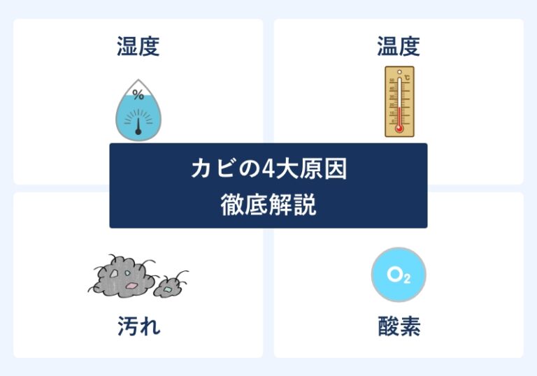 カビの4大発生原因を徹底考察【発生条件・対策方法・場所別カビ取りまとめ】
