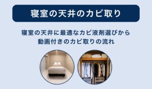 寝室の天井のカビ取り方法・液剤の選び方・業者の選び方まとめ
