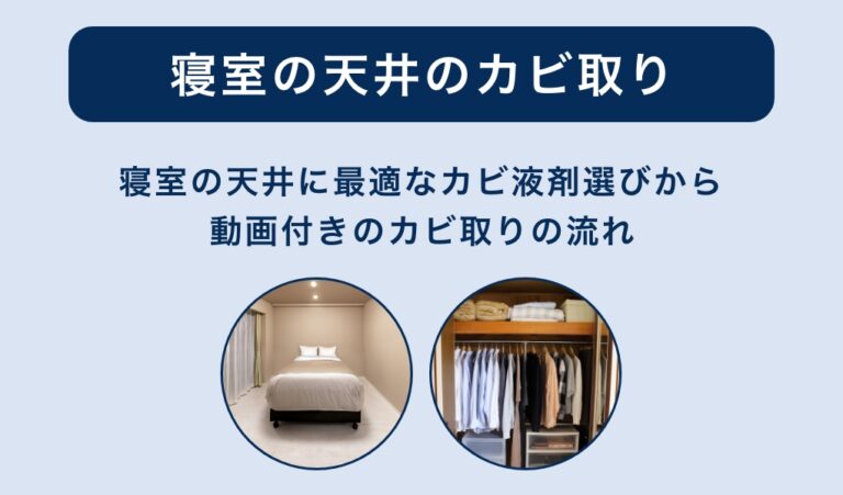 寝室の天井のカビ取り方法・液剤の選び方・業者の選び方まとめ