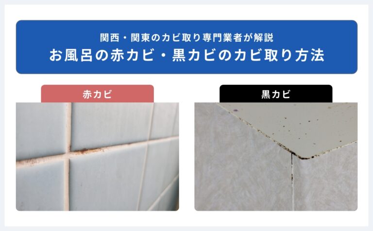 お風呂の赤カビ・黒カビのカビ取り方法と防カビ対策