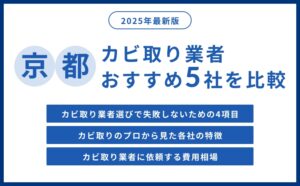 京都府の実績豊富なカビ取り業者おすすめ5社をプロが紹介【2026年最新版】