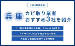 兵庫県のカビ取り対応業者おすすめ3社｜専門・清掃の違いも解説【2026年最新版】
