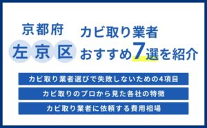 京都府左京区の実績豊富なカビ取り業者おすすめ比較5選【費用相場・選び方のコツ】