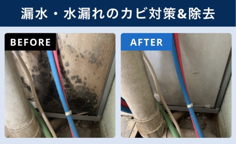 漏水・水漏れによるカビの除去・対策マニュアル【火災保険で費用を抑える方法も解説】