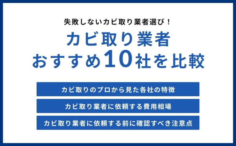 カビ取り業者ランキングおすすめ10選 |  失敗しない選び方・費用相場・メリットデメリット