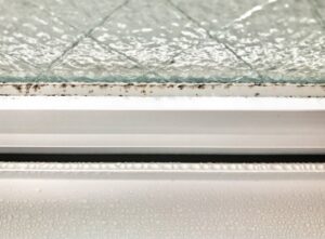 ゴムパッキンに生えたカビはおうちで落とせる？スッキリキレイに落とすカビ取り方法を専門家が解説
