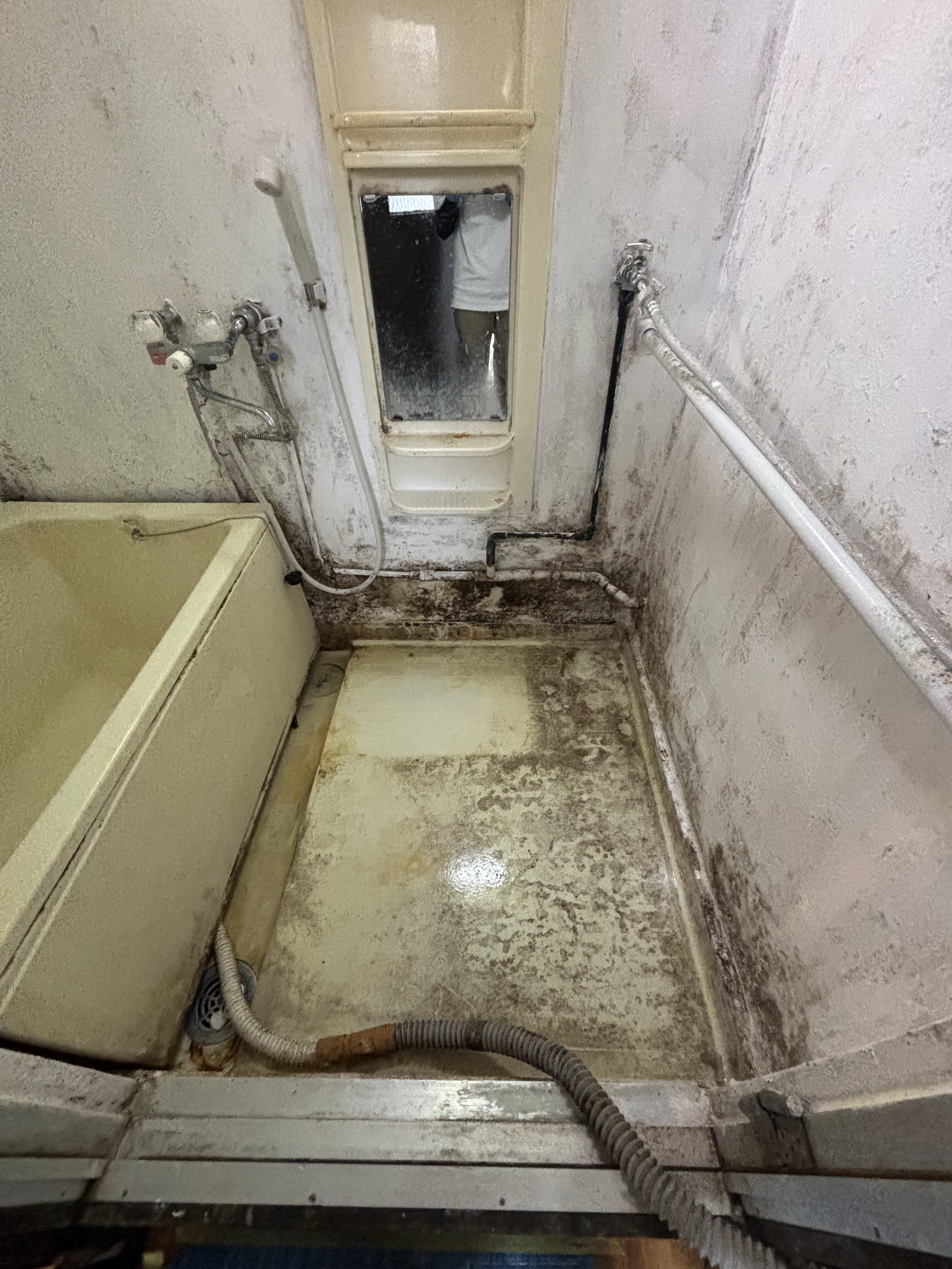 換気扇がないお風呂のカビ対策 Before Image