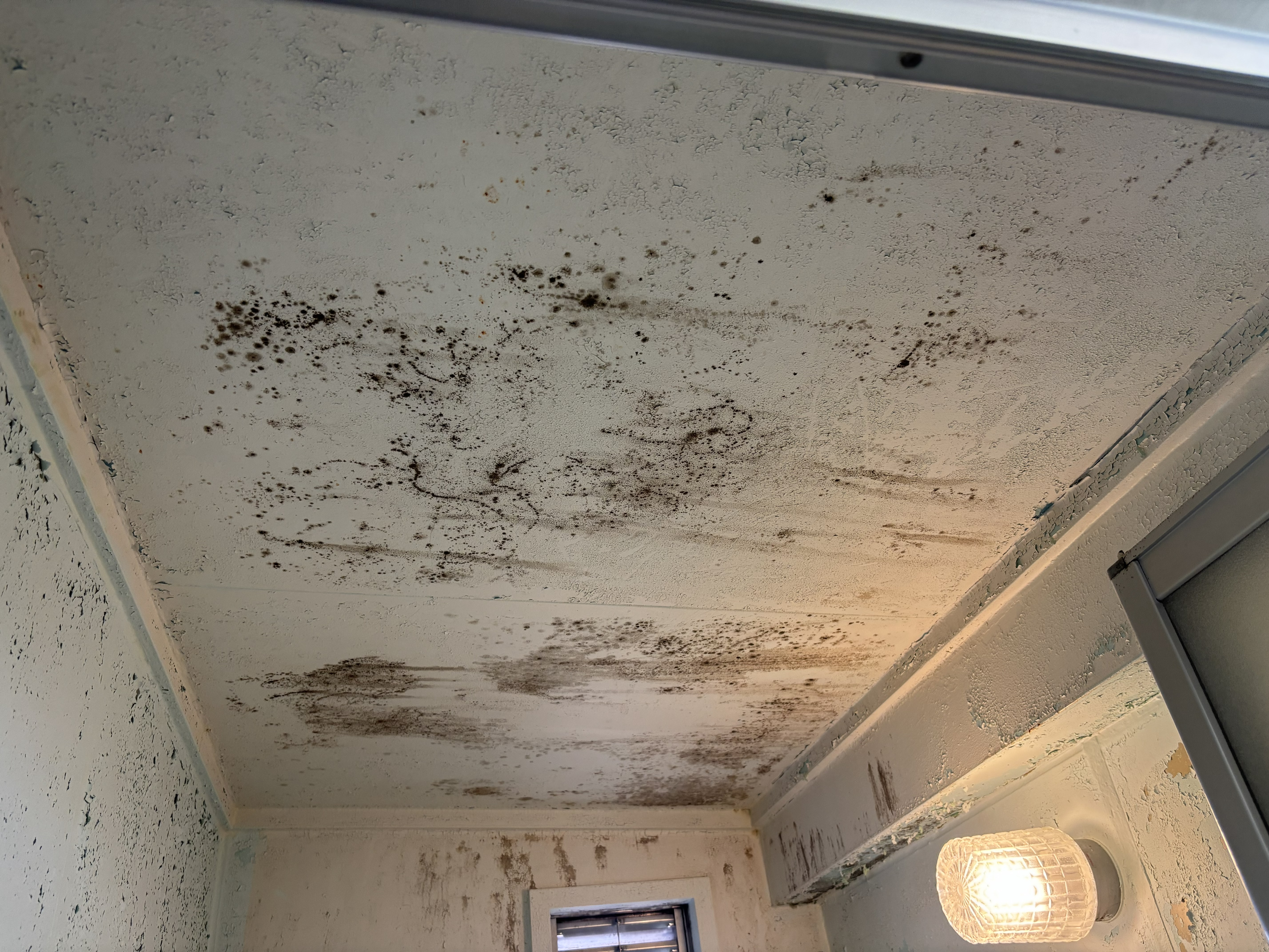 浴室の塗装剥がれとカビの施工前の状態