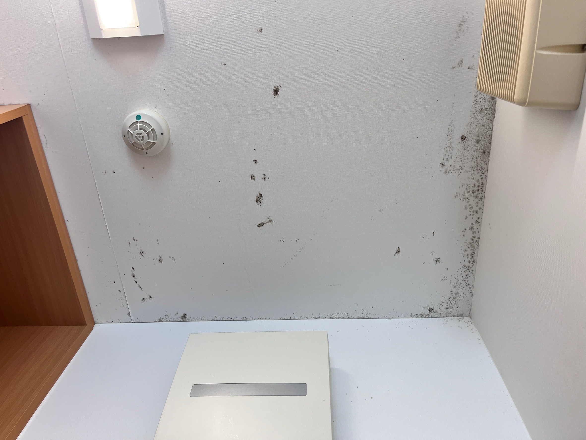 学生寮の部屋に発生したカビの除去と防カビ｜施工前