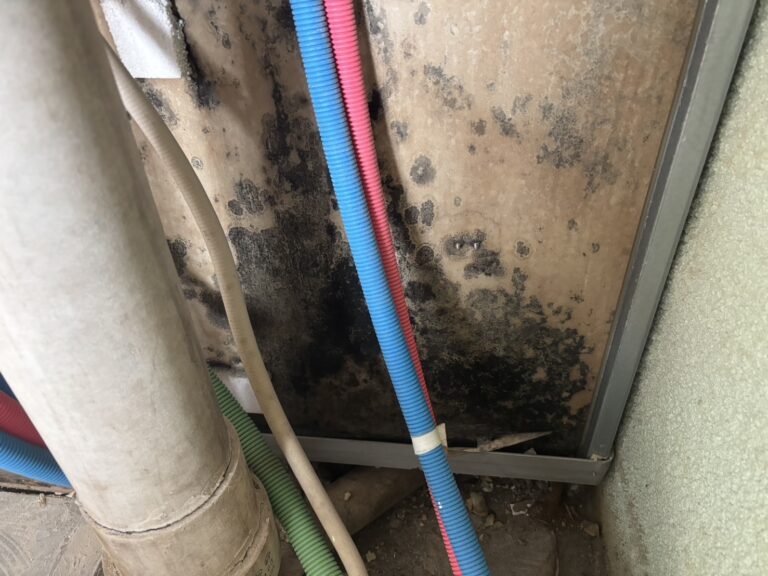 漏水被害によるカビの除去と防カビ作業｜施工前