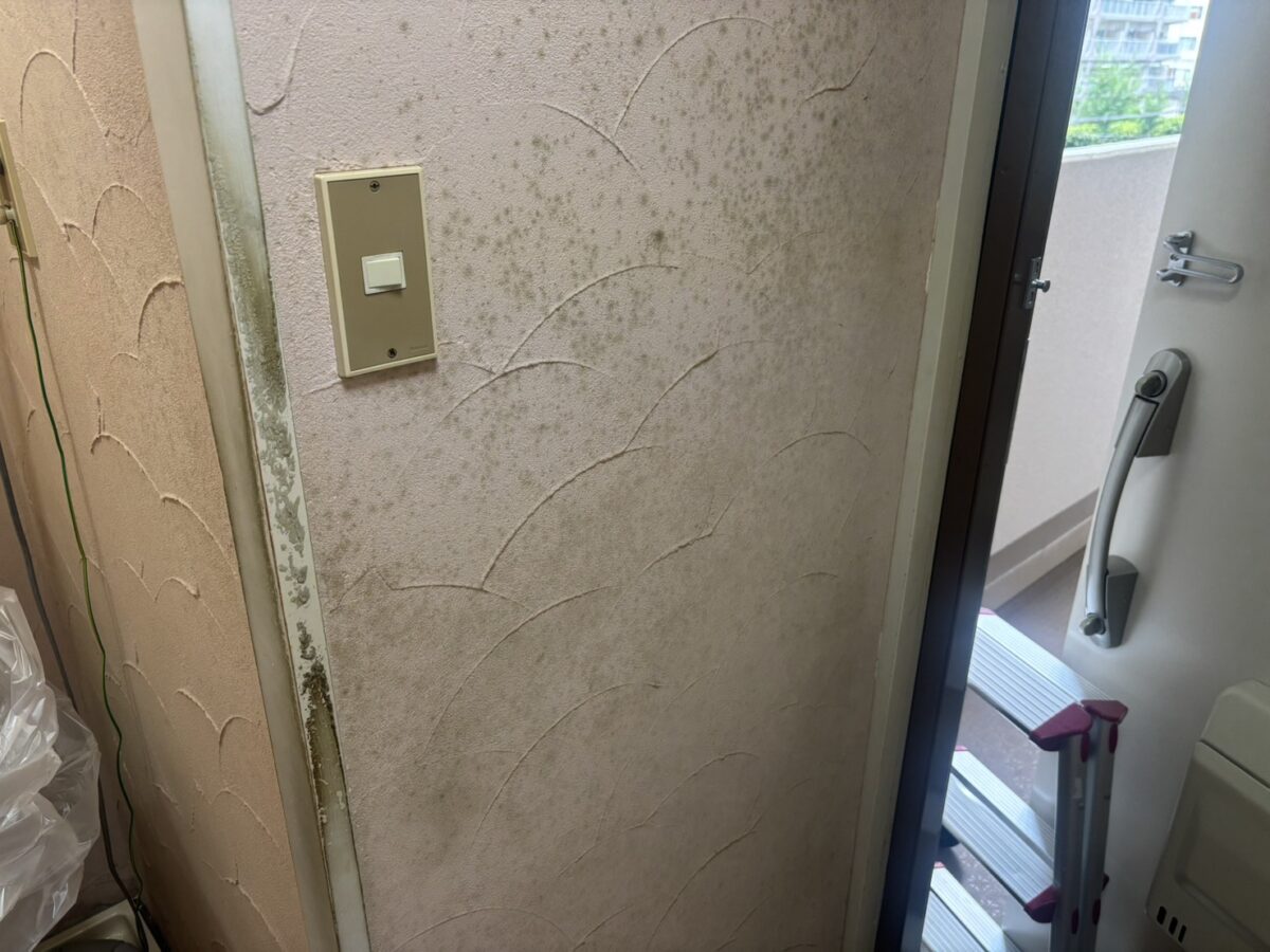 施工前の状態