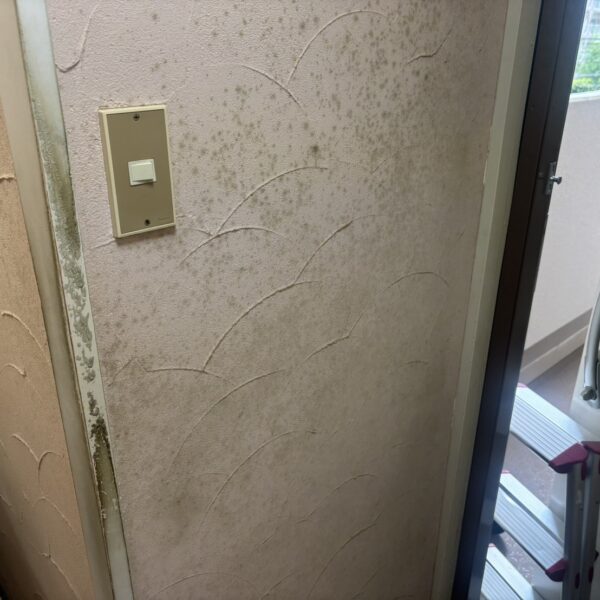 珪藻土のカビ対策｜施工前