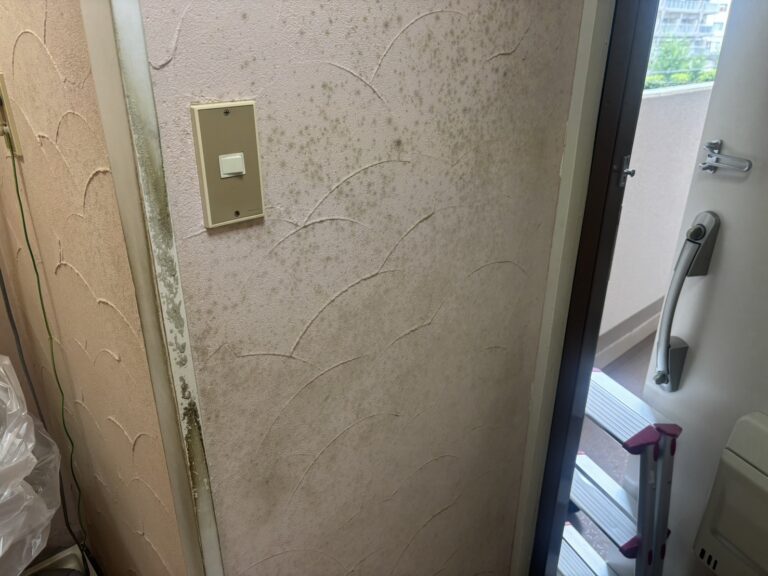 珪藻土のカビ対策｜施工前