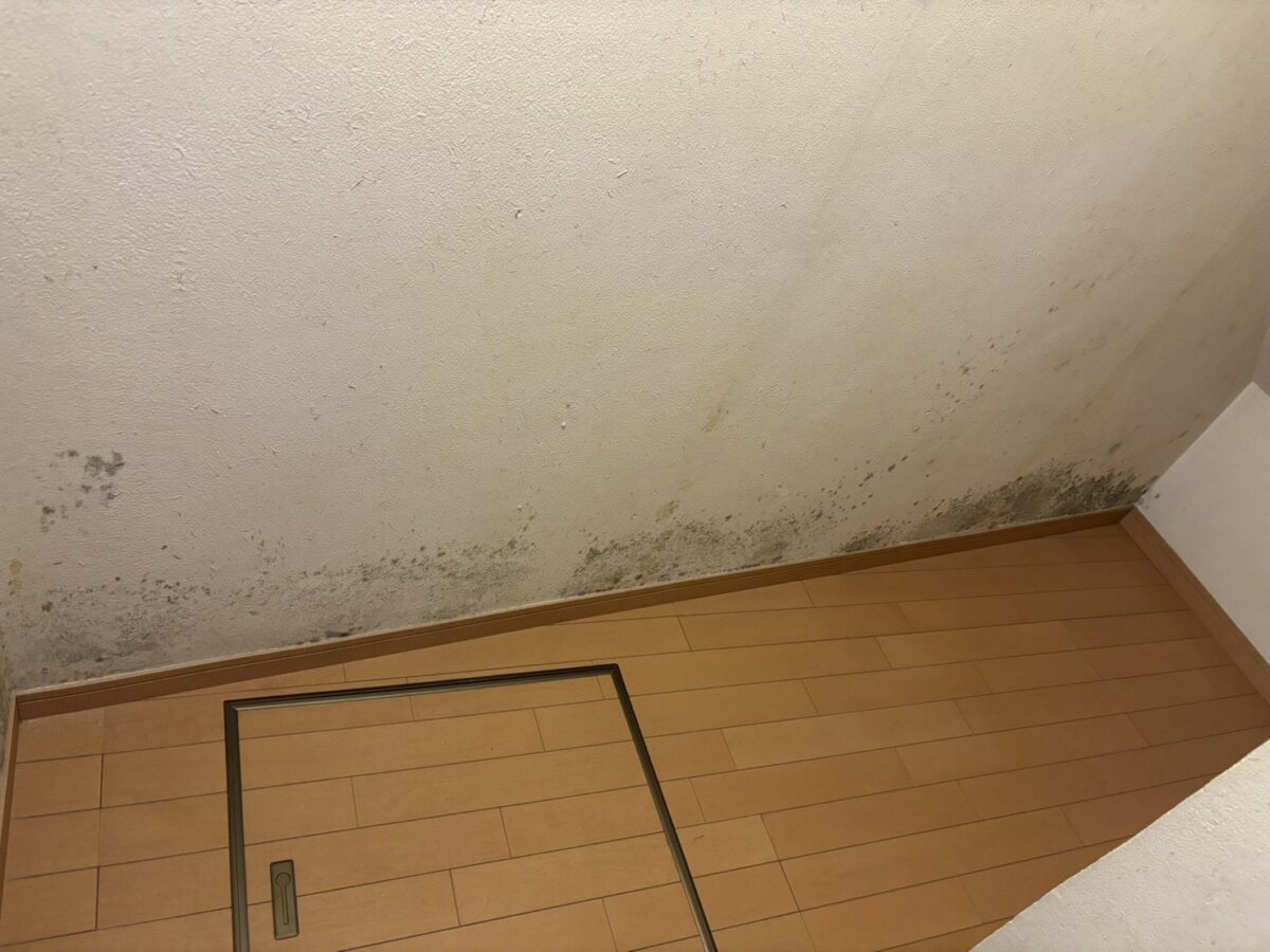 施工前の状態