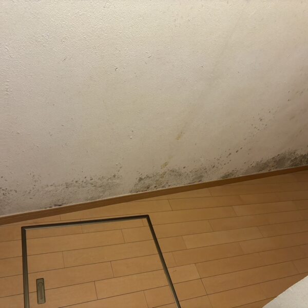 地下にある洋室のカビ対策｜施工前