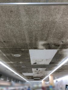 結露によるカビは冬だけじゃなく夏も起こる？｜施工前