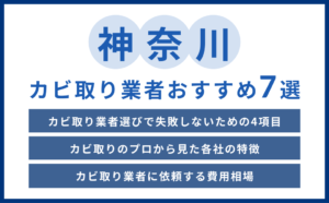 【2026年】神奈川県の実績豊富なカビ取り業者おすすめ7選【費用相場・選び方のコツ】