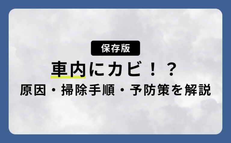 【保存版】車内のカビを根本除去する方法｜原因・掃除手順・予防策＆プロ料金まで徹底解説