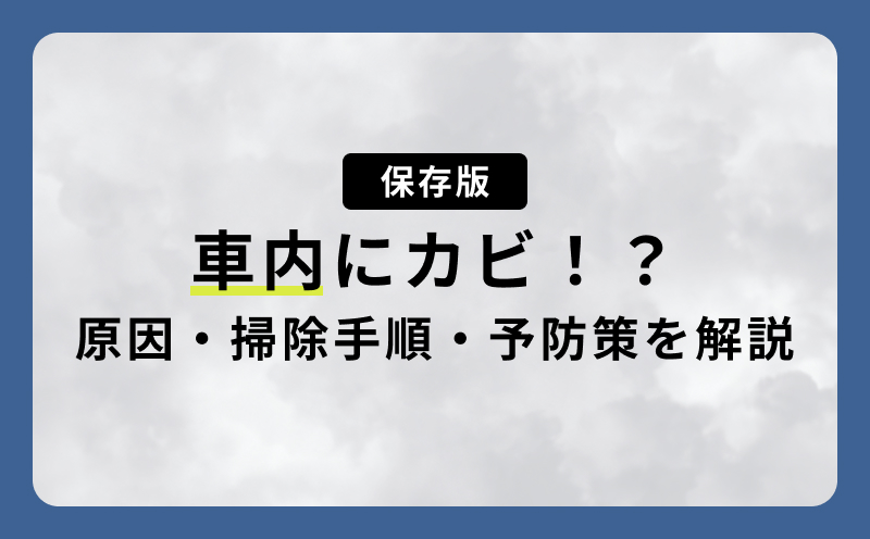 車内にカビ！？原因・掃除手順・予防策を解説
