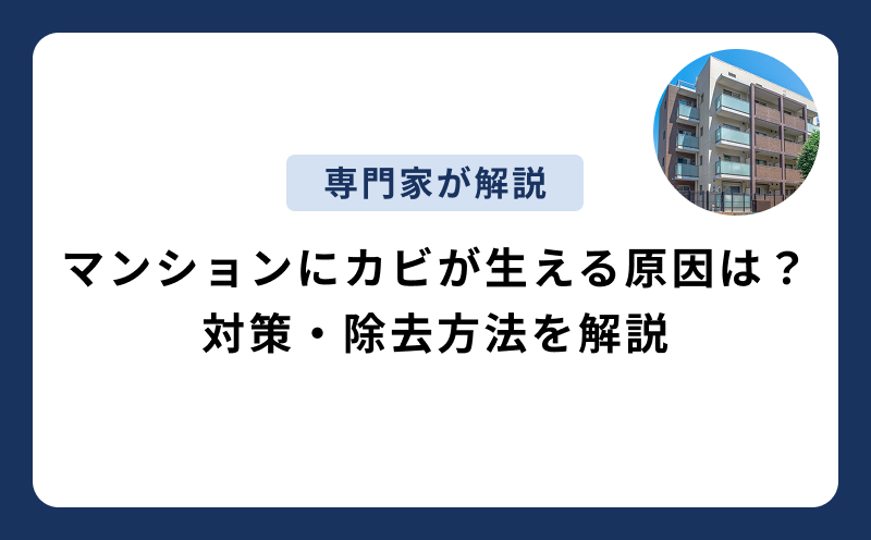 マンションにカビが生える原因は？対策・除去方法を解説