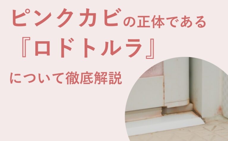 ピンクカビ（赤いぬめり）の正体『ロドトルラ』の落とし方【原因・予防・黒カビとの違い】