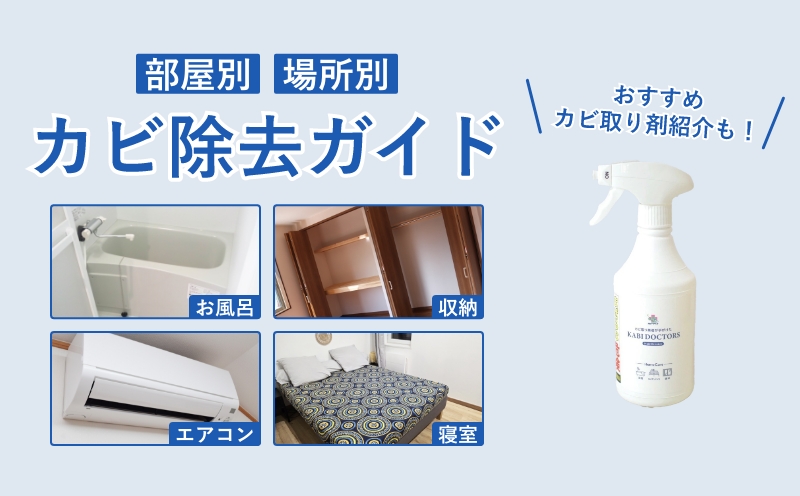 【場所・種類別】カビ除去方法をカビ取り職人が徹底解説