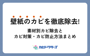 壁紙のカビを徹底除去する方法！素材別カビ除去とカビ対策・カビ防止方法まとめ