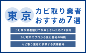 東京都の実績豊富なカビ取り業者おすすめ7選【費用相場・選び方のコツ】