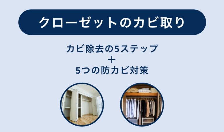 クローゼットのカビ取り | 原因・対策・最強カビ取り剤まで徹底解説
