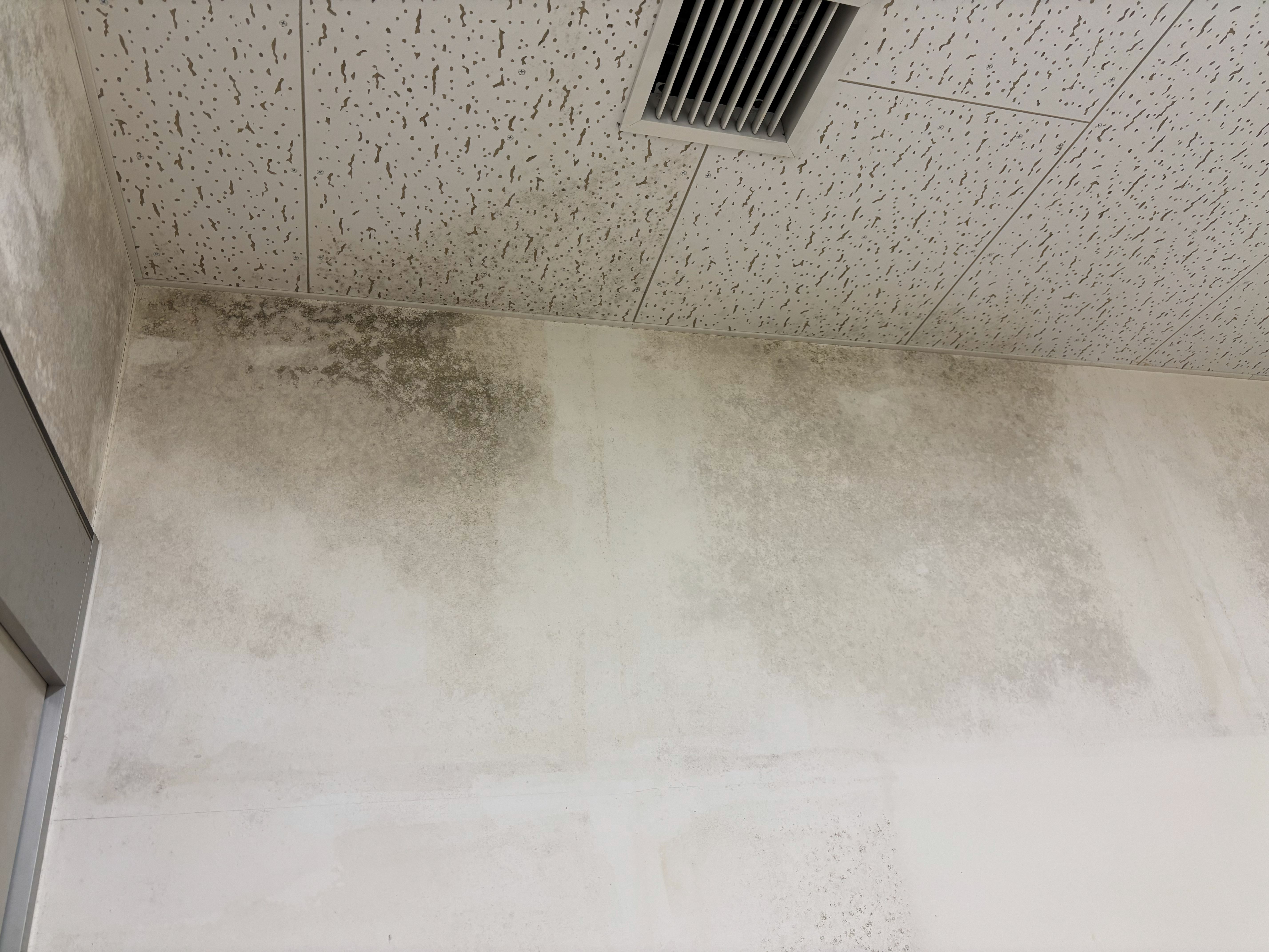 工場内施設のカビ除去・防カビ施工の施工前の状態